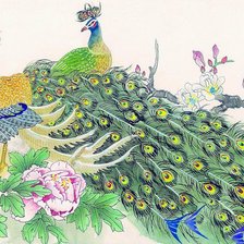 Схема вышивки «Павлин»