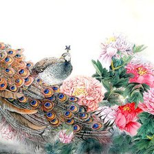 Схема вышивки «Павлин»