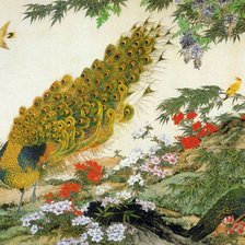 Схема вышивки «Павлин»