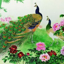 Схема вышивки «Павлин»