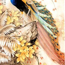 Схема вышивки «Павлин»