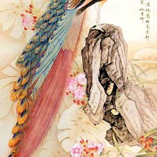 Схема вышивки «Павлин»