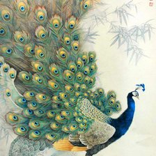 Схема вышивки «Павлин»