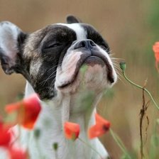 весна пришла