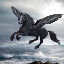 Схема вышивки «PEGAS»