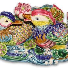 Утки-мандаринки