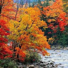 Схема вышивки «Буйство»