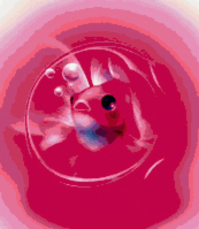 Рыбка - подушка - предпросмотр