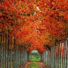 Схема вышивки «Парад»