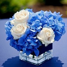 Схема вышивки «Акцент»