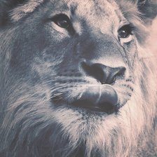 Схема вышивки «В предвкушении»