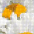 Предпросмотр схемы вышивки «Ромашки» (№358115)