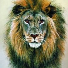 Схема вышивки «лев»