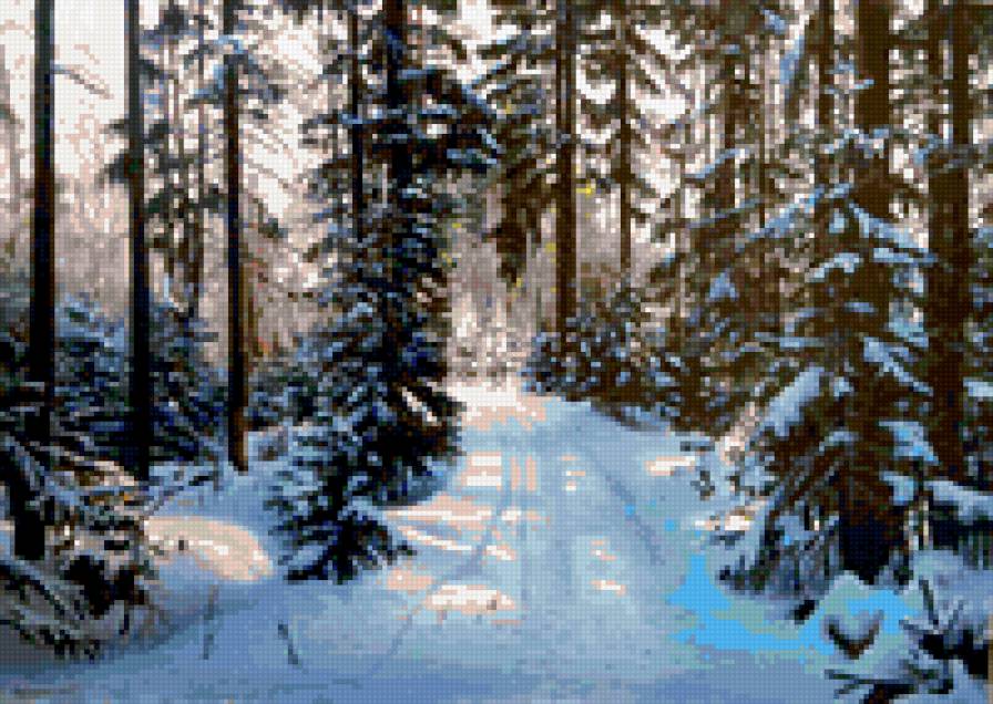 Зосич Юрий Александрович "дорога в зимнем лесу" - дорога, зима, ели, лес - предпросмотр