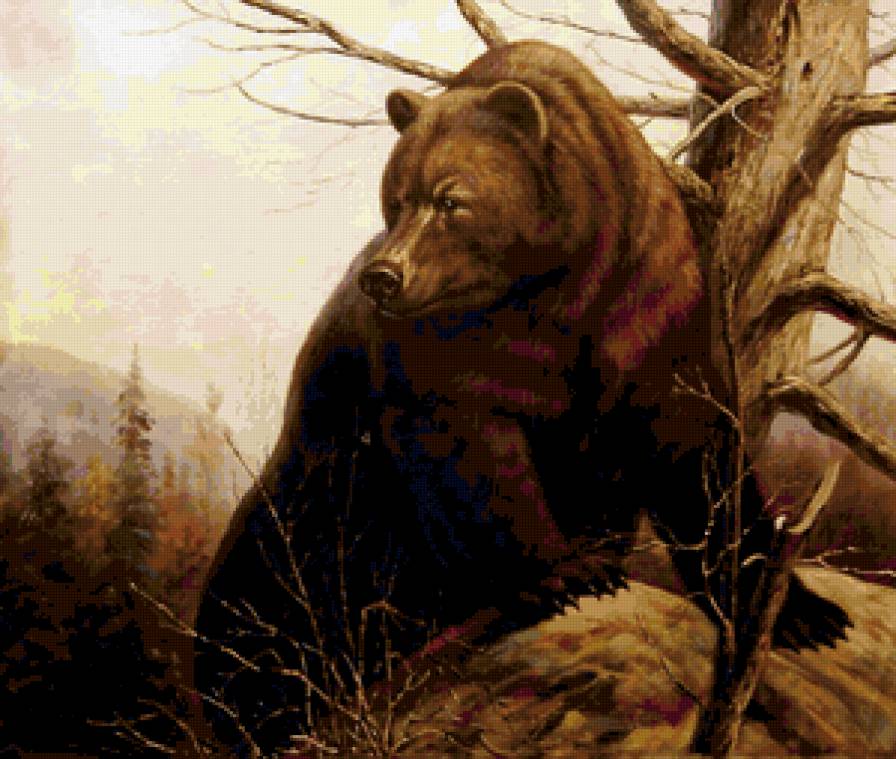 Августо Жавино Бруно . Картина : Хозяин тайги - тайга, животные, медведь - предпросмотр