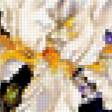 Предпросмотр схемы вышивки «ирисы-222» (№358236)