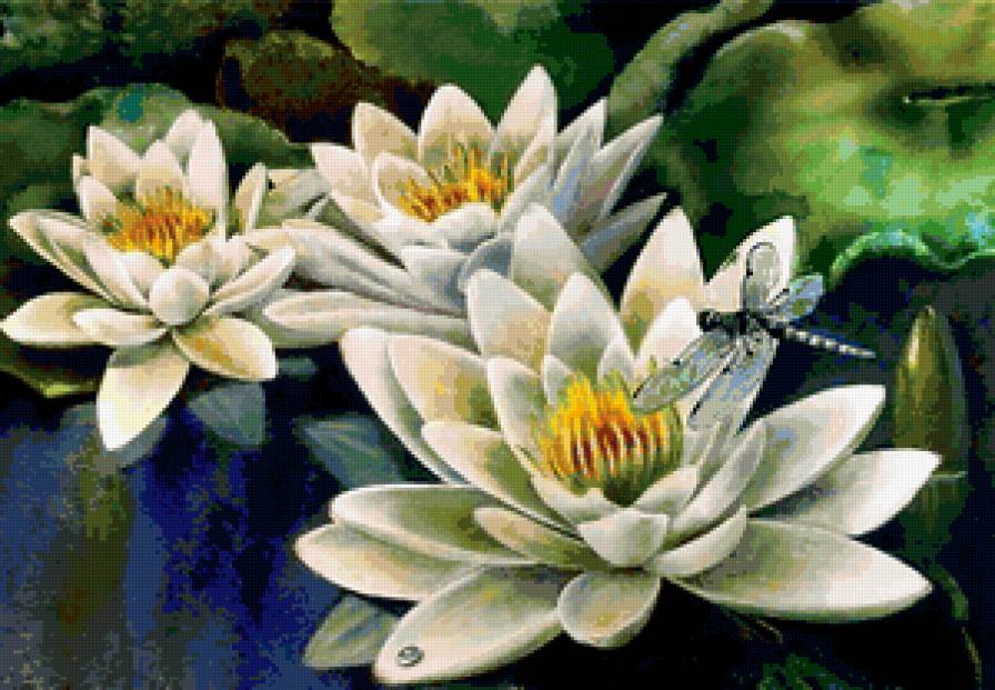 лотосы - предпросмотр