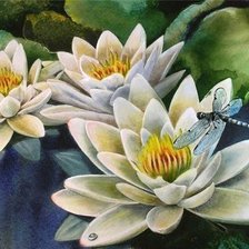 Схема вышивки «лотосы»