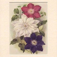 Схема вышивки «№358363»