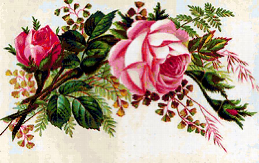 роза - предпросмотр