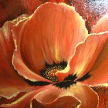 Схема вышивки «маки»