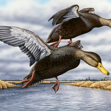 Схема вышивки «№358674»