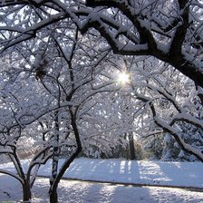 Схема вышивки «зима»