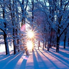 Схема вышивки «зима»