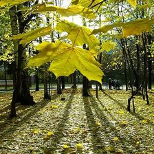 Схема вышивки «осень»