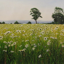 Схема вышивки «Художник Элиас Кондори»