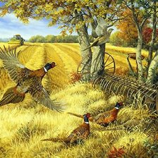 Схема вышивки «Linda Picken.»