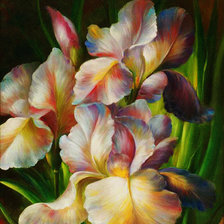 Схема вышивки «Ирисы»