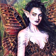 Схема вышивки «эльф-1»