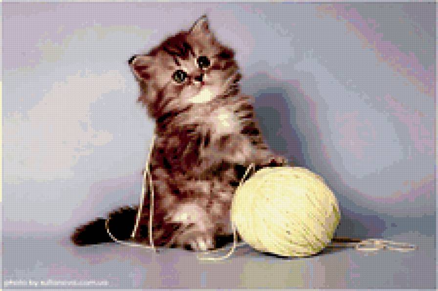котенок и клубок - животные - предпросмотр