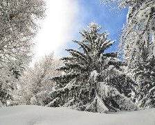 Схема вышивки «зима»