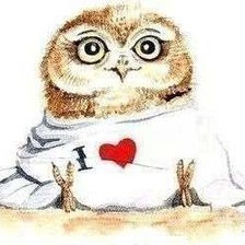 Схема вышивки «Совушка»