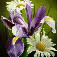 Схема вышивки «Ирисы»