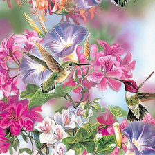 Схема вышивки «Колибри»