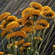 Схема вышивки «дождь»