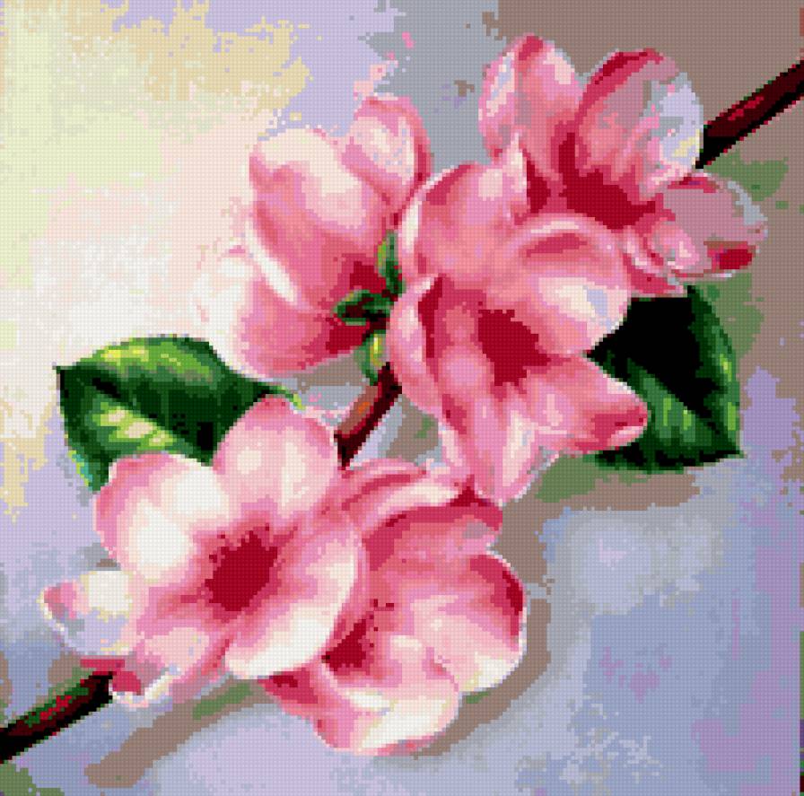 цветы - цветы, магнолии, розовое, веточка, красота - предпросмотр