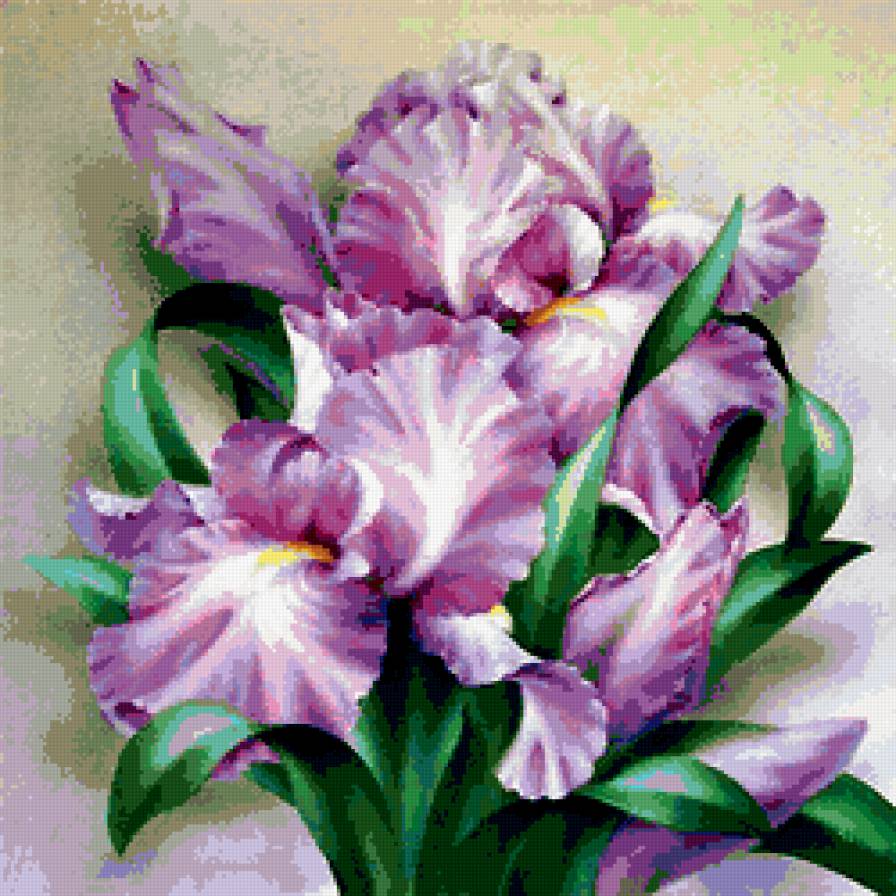 цветы - ирисы, красота, цветы, букет - предпросмотр