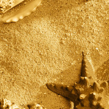 Схема вышивки «ракушки»