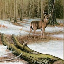 Схема вышивки «олень в лесу»