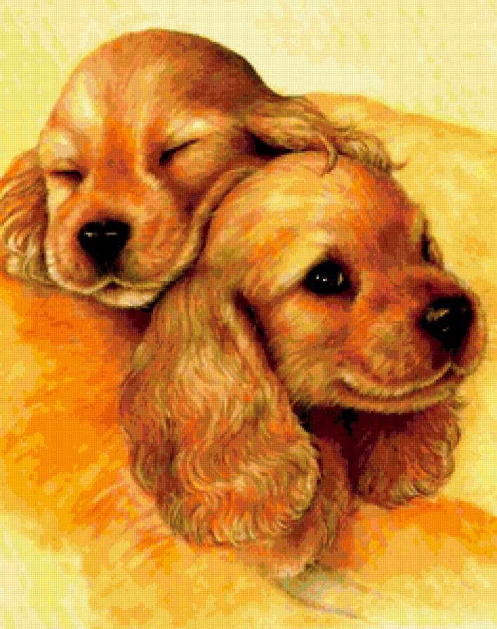 щенки - предпросмотр