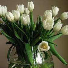 Схема вышивки «№359698»