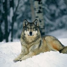 Схема вышивки «№359702»