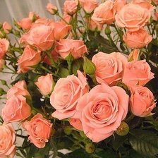 Схема вышивки «№359714»