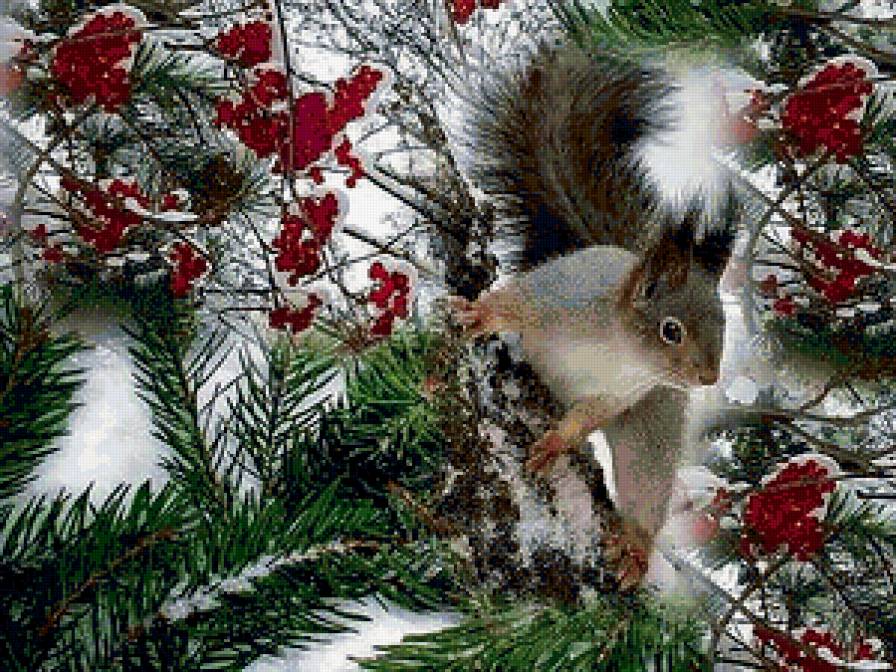 №359718 - предпросмотр