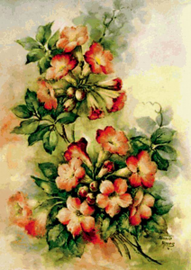 акварельные цветы - вьюнок, цветы, акварель - предпросмотр