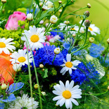 Схема вышивки «№359735»